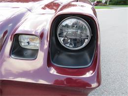 1981 Chevrolet Camaro Z28 (CC-2107828) for sale in APOPKA, Florida