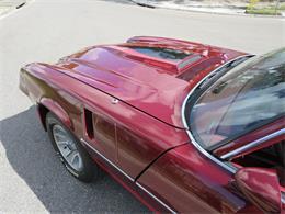 1981 Chevrolet Camaro Z28 (CC-2107828) for sale in APOPKA, Florida