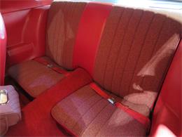 1981 Chevrolet Camaro Z28 (CC-2107828) for sale in APOPKA, Florida