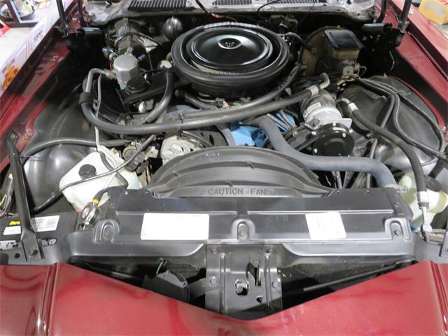 1981 Chevrolet Camaro Z28 (CC-2107828) for sale in APOPKA, Florida