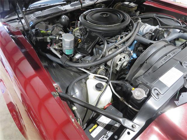 1981 Chevrolet Camaro Z28 (CC-2107828) for sale in APOPKA, Florida