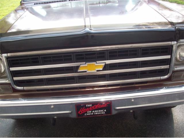 1976 Chevrolet K-10 (CC-2100784) for sale in Cadillac, Michigan