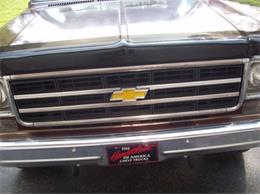 1976 Chevrolet K-10 (CC-2100784) for sale in Cadillac, Michigan