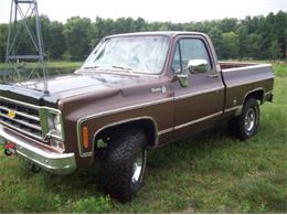 1976 Chevrolet K-10 (CC-2100784) for sale in Cadillac, Michigan