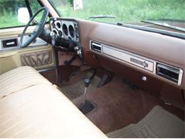 1976 Chevrolet K-10 (CC-2100784) for sale in Cadillac, Michigan
