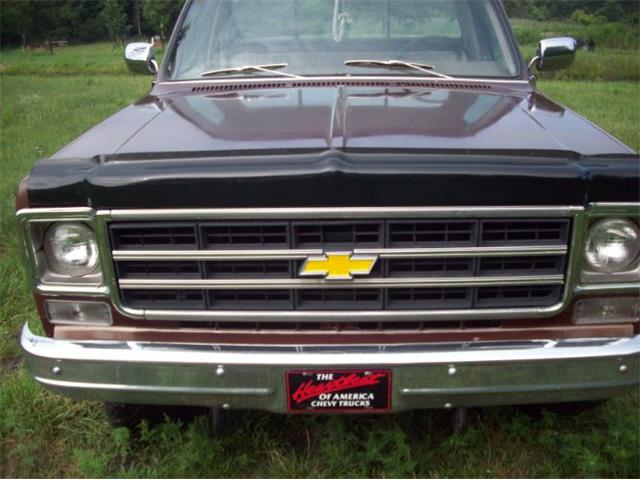1976 Chevrolet K-10 (CC-2100784) for sale in Cadillac, Michigan