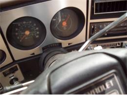 1976 Chevrolet K-10 (CC-2100784) for sale in Cadillac, Michigan