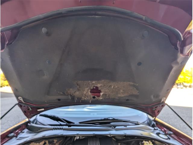 2004 Ford Thunderbird (CC-2107844) for sale in Grass Valley, California