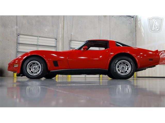 1980 Chevrolet Corvette (CC-2107924) for sale in New Braundfels, Texas