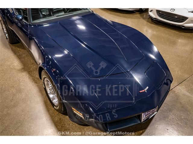 1981 Chevrolet Corvette (CC-2107949) for sale in Grand Rapids, Michigan