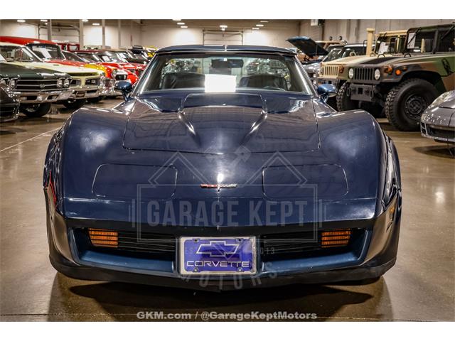 1981 Chevrolet Corvette (CC-2107949) for sale in Grand Rapids, Michigan