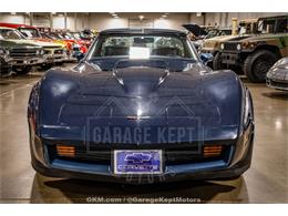 1981 Chevrolet Corvette (CC-2107949) for sale in Grand Rapids, Michigan