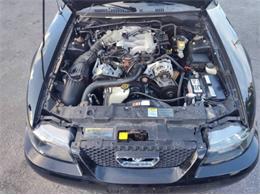 2002 Ford Mustang (CC-2107960) for sale in Cadillac, Michigan