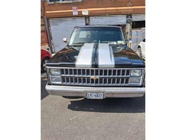 1984 Chevrolet C10 (CC-2107971) for sale in Cadillac, Michigan
