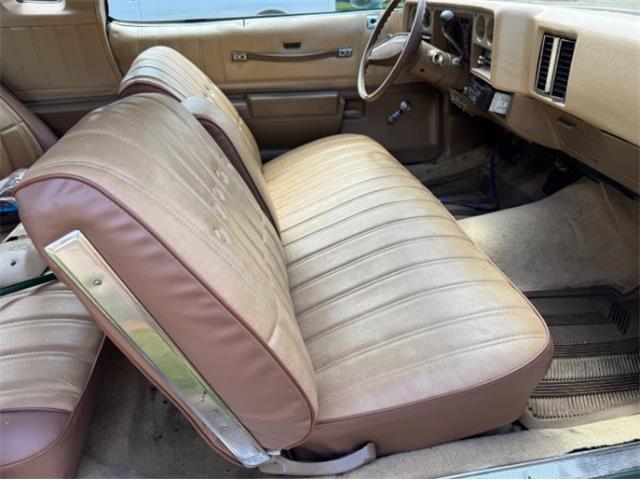 1977 Chevrolet Monte Carlo (CC-2100799) for sale in Cadillac, Michigan