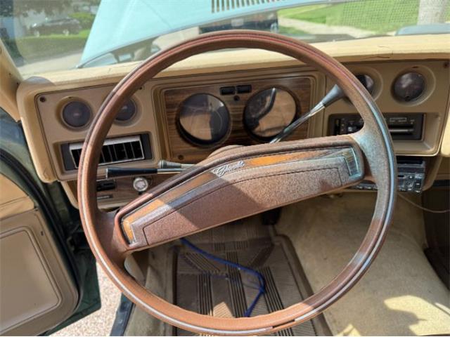 1977 Chevrolet Monte Carlo (CC-2100799) for sale in Cadillac, Michigan