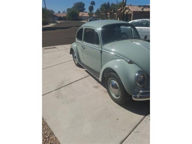 1965 Volkswagen Beetle (CC-2107999) for sale in Cadillac, Michigan