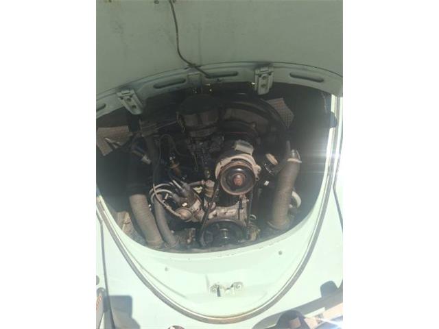 1965 Volkswagen Beetle (CC-2107999) for sale in Cadillac, Michigan