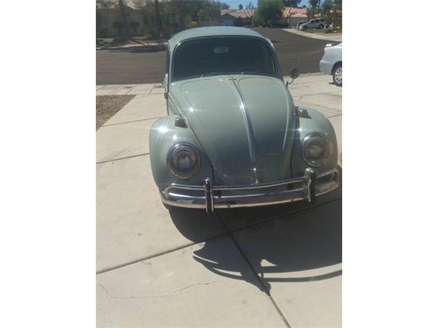 1965 Volkswagen Beetle (CC-2107999) for sale in Cadillac, Michigan
