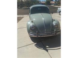 1965 Volkswagen Beetle (CC-2107999) for sale in Cadillac, Michigan