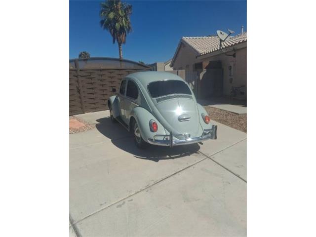1965 Volkswagen Beetle (CC-2107999) for sale in Cadillac, Michigan