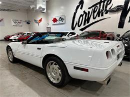 1995 Chevrolet Corvette (CC-2108000) for sale in Dallas, Texas