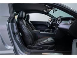 2007 Ford Mustang GT500 (CC-2108007) for sale in Concord, North Carolina