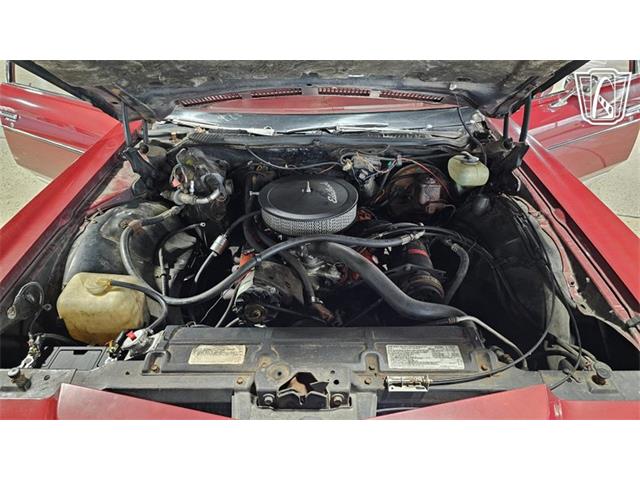 1973 Chevrolet Caprice (CC-2108009) for sale in Dearborn, Michigan