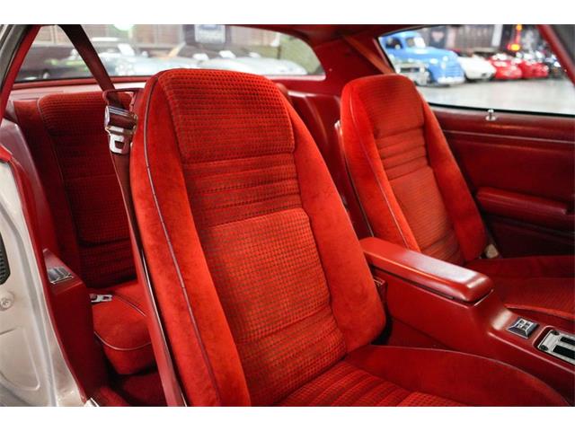 1979 Pontiac Firebird Trans Am (CC-2100807) for sale in Homer City, Pennsylvania
