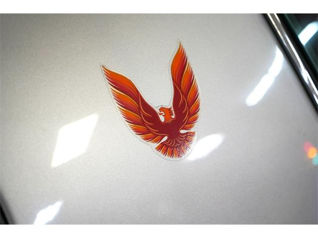 1979 Pontiac Firebird Trans Am (CC-2100807) for sale in Homer City, Pennsylvania