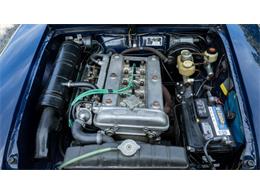1970 Alfa Romeo Giulia Super (CC-2108077) for sale in Newport, Rhode Island