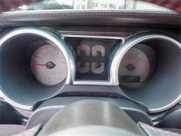 2007 Ford Shelby GT500  (CC-2108103) for sale in Englewood, Colorado