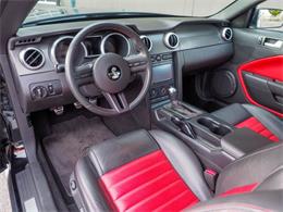 2007 Ford Shelby GT500  (CC-2108103) for sale in Englewood, Colorado
