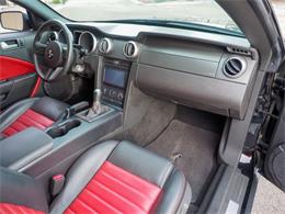 2007 Ford Shelby GT500  (CC-2108103) for sale in Englewood, Colorado