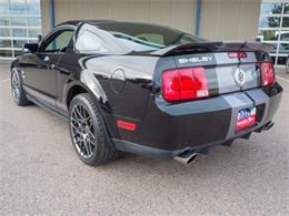 2007 Ford Shelby GT500  (CC-2108103) for sale in Englewood, Colorado