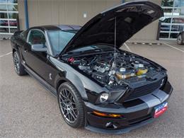 2007 Ford Shelby GT500  (CC-2108103) for sale in Englewood, Colorado