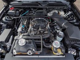 2007 Ford Shelby GT500  (CC-2108103) for sale in Englewood, Colorado