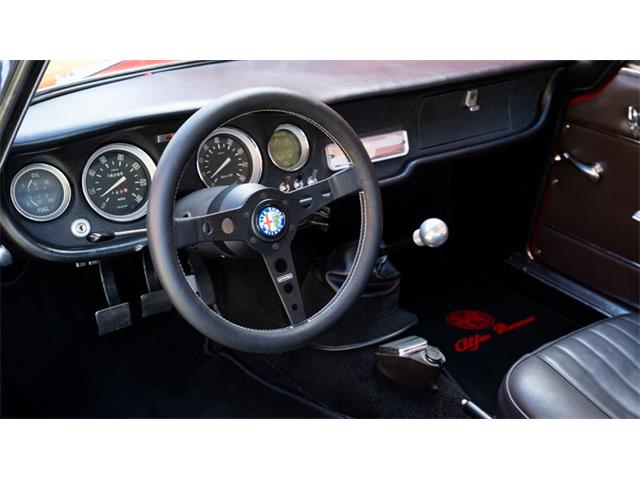 1966 Alfa Romeo Giulia (CC-2108106) for sale in Newport, Rhode Island