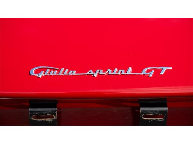 1966 Alfa Romeo Giulia (CC-2108106) for sale in Newport, Rhode Island