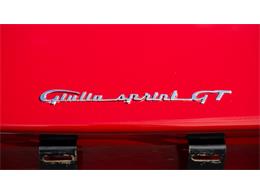 1966 Alfa Romeo Giulia (CC-2108106) for sale in Newport, Rhode Island