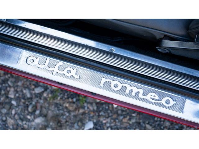 1966 Alfa Romeo Giulia (CC-2108106) for sale in Newport, Rhode Island