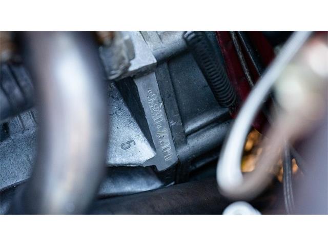 1966 Alfa Romeo Giulia (CC-2108106) for sale in Newport, Rhode Island