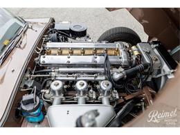 1961 Jaguar E-Type (CC-2108193) for sale in Wayne, Pennsylvania