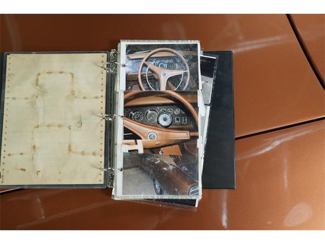 1969 Dodge Charger (CC-2108219) for sale in Madisonville, Texas