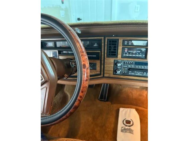 1984 Cadillac Eldorado (CC-2100826) for sale in Cadillac, Michigan