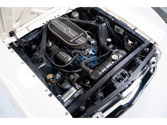 1966 Ford Mustang Fastback (CC-2108260) for sale in Madisonville, Texas