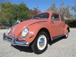 1957 Volkswagen Beetle (CC-2108285) for sale in Simi Valley, California