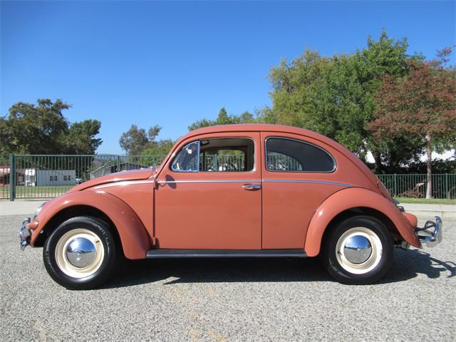 1957 Volkswagen Beetle (CC-2108285) for sale in Simi Valley, California