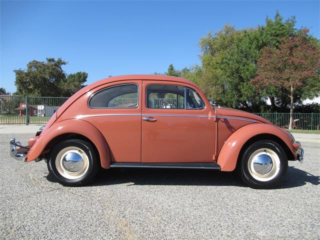 1957 Volkswagen Beetle (CC-2108285) for sale in Simi Valley, California