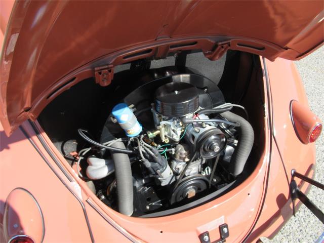 1957 Volkswagen Beetle (CC-2108285) for sale in Simi Valley, California